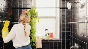 Climate Control in Southwest Florida: Why Comfort, Durability, and Air Quality All Depend on Humidity